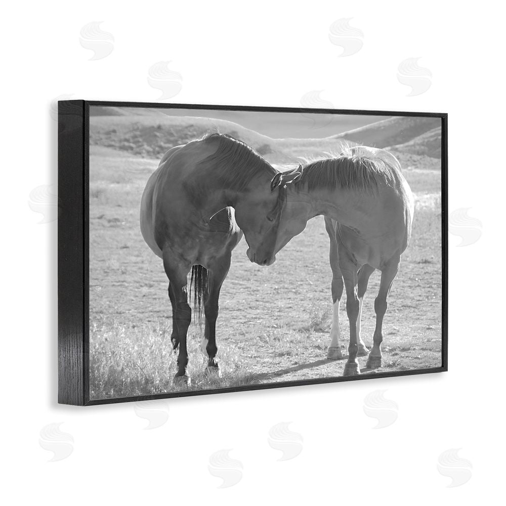 Steve Toole Sweet Nothings Bond Between Horses Black Framed Giclee Wall Art Print