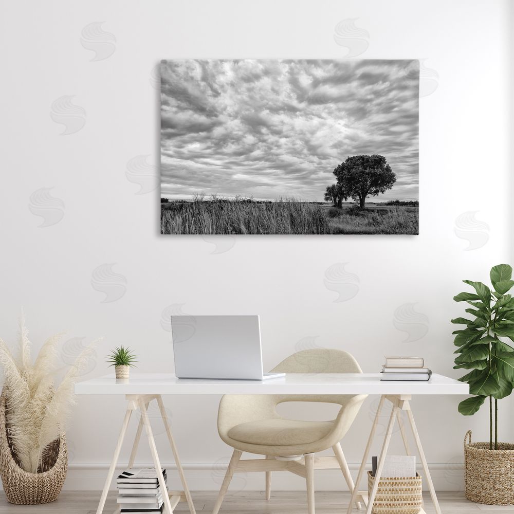 Jon Evan Solitary Tree Beneath Clouds Stretched Canvas Wall Art in Room