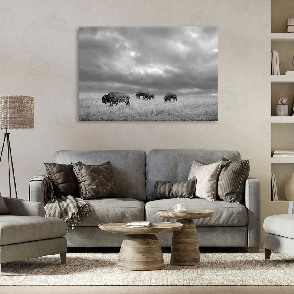 Steve Toole Bisons Under an Autumn Sky Stretched Canvas Wall Art in Room
