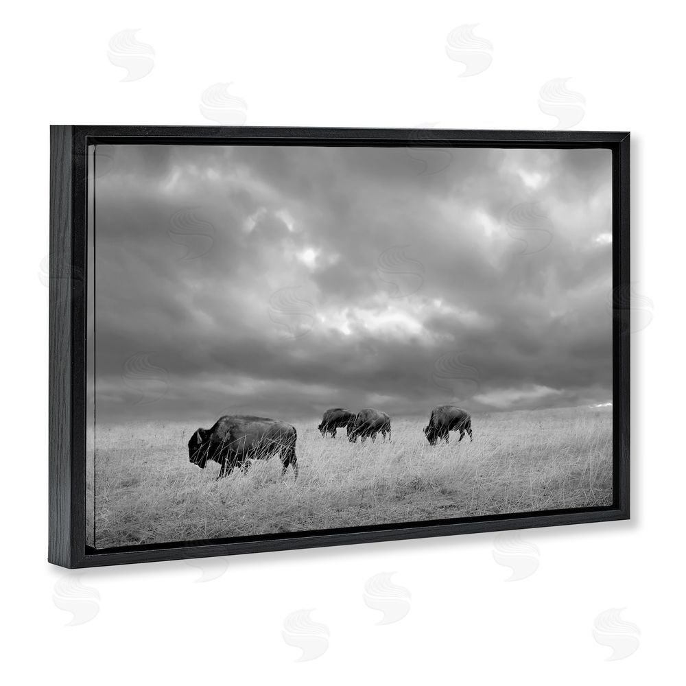 Steve Toole Bisons Under an Autumn Sky Black Floating Frame Canvas Wall Art Print