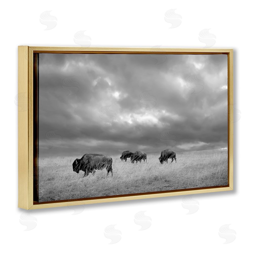 Steve Toole Bisons Under an Autumn Sky Gold Floating Frame Canvas Wall Art Print