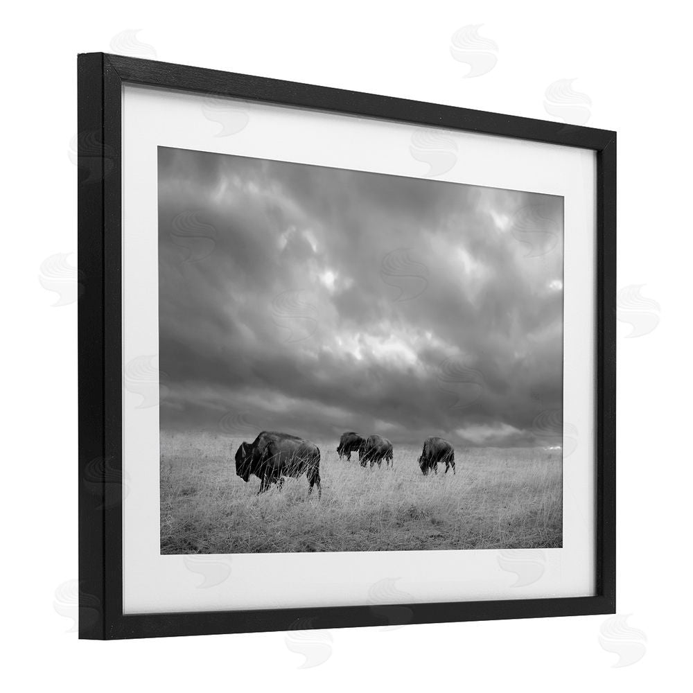 Steve Toole Bisons Under an Autumn Sky Black Framed Print Under Glass Wall Art