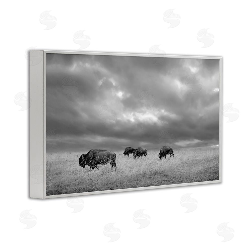 Steve Toole Bisons Under an Autumn Sky White Framed Giclee Wall Art Print