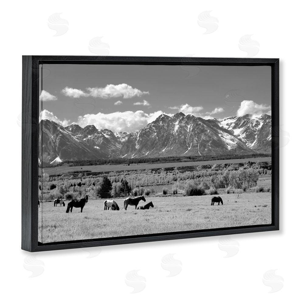 Steve Toole Wyoming Ranch Horses Grazing Black Floating Frame Canvas Wall Art Print