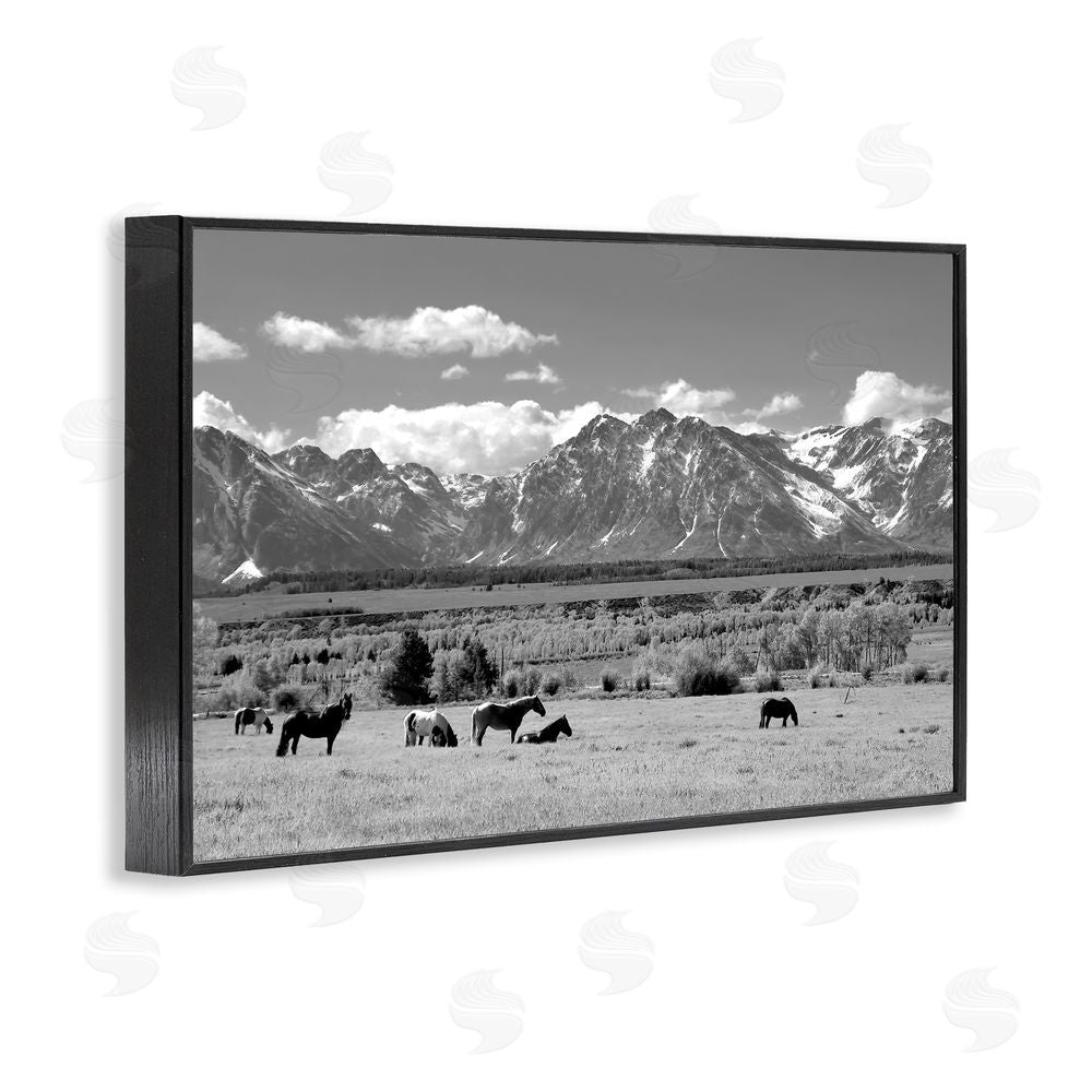 Steve Toole Wyoming Ranch Horses Grazing Black Framed Giclee Wall Art Print