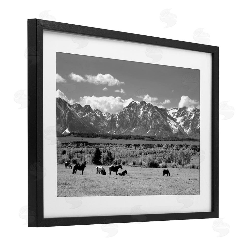 Steve Toole Wyoming Ranch Horses Grazing Black Framed Print Under Glass Wall Art