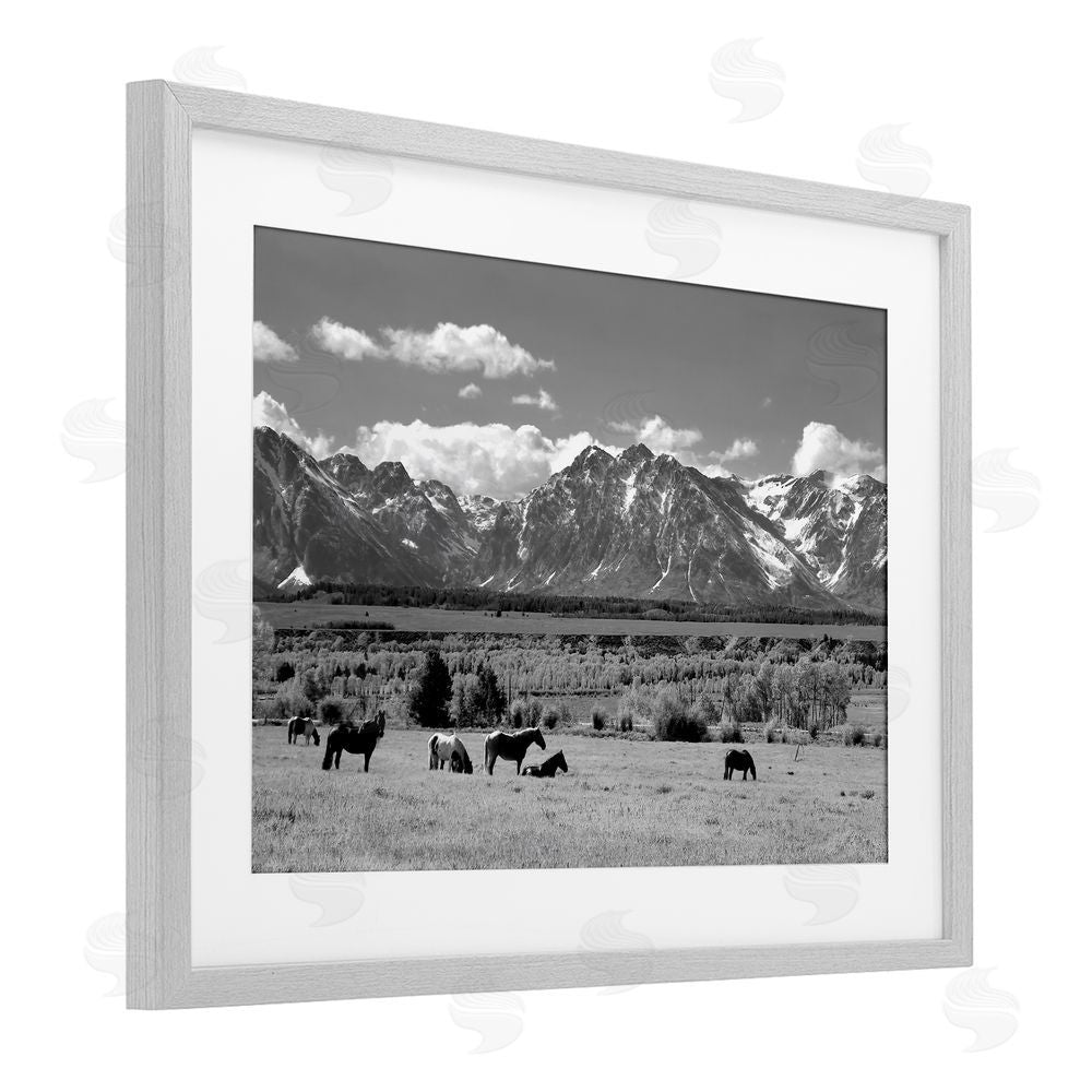 Steve Toole Wyoming Ranch Horses Grazing Gray Framed Print Under Glass Wall Art