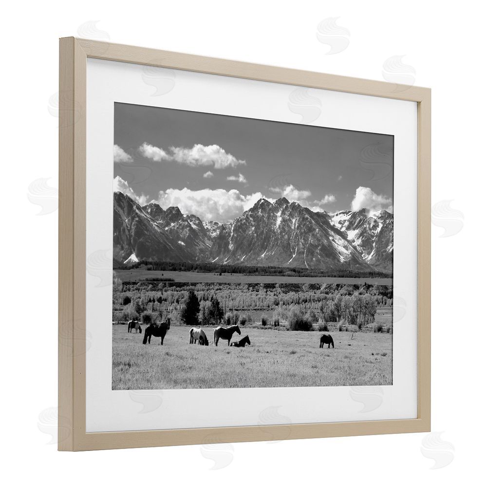 Steve Toole Wyoming Ranch Horses Grazing Brown Framed Print Under Glass Wall Art