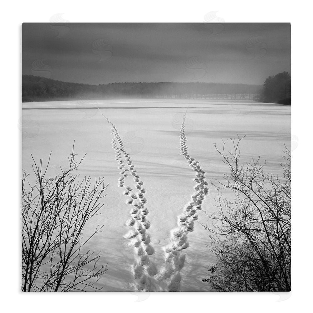 Chip Forelli Snowstep Tracks Across Frozen Lakes Stretched Canvas Wall Art Print