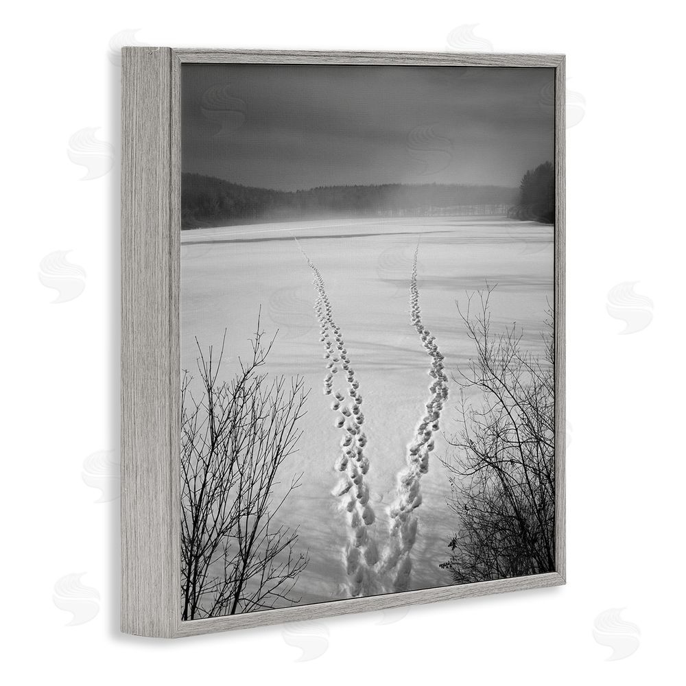 Chip Forelli Snowstep Tracks Across Frozen Lakes Gray Framed Giclee Wall Art Print