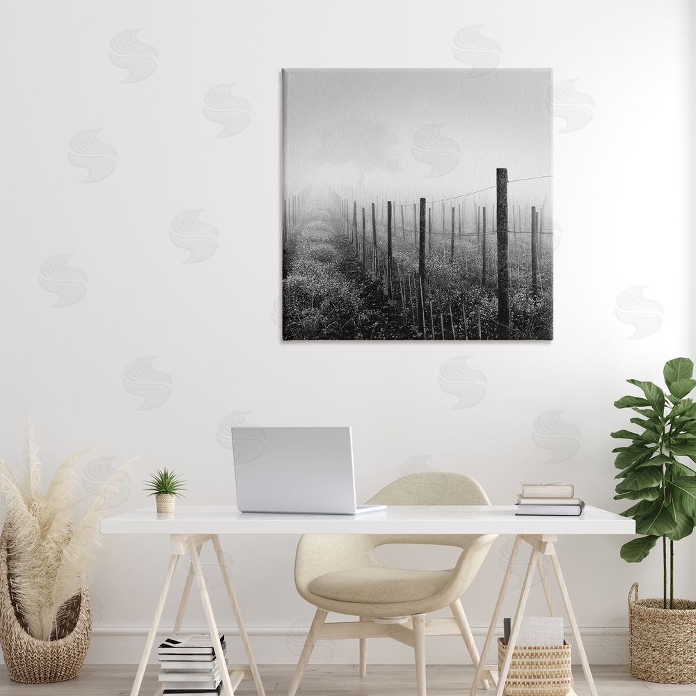 Chip Forelli Vineyard At Dawn Canvas Art on Wall