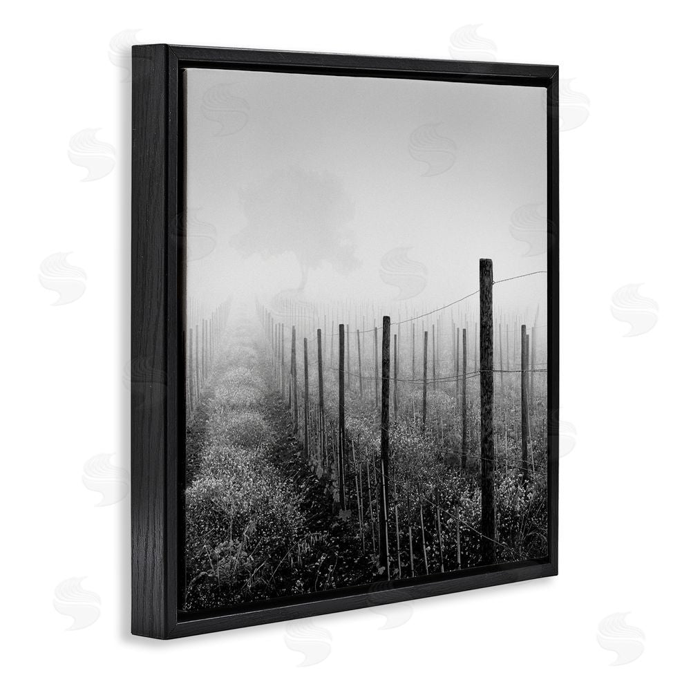 Chip Forelli Vineyard At Dawn Black Floating Frame Canvas Wall Art Print