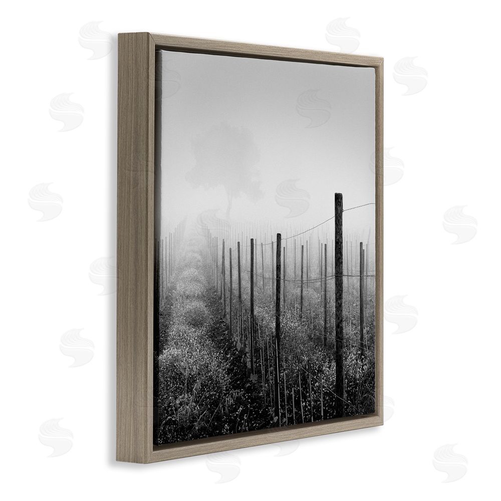 Chip Forelli Vineyard At Dawn Brown Floating Frame Canvas Wall Art Print