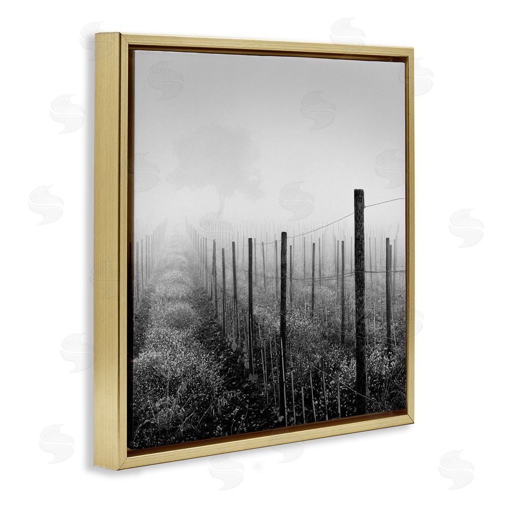 Chip Forelli Vineyard At Dawn Gold Floating Frame Canvas Wall Art Print