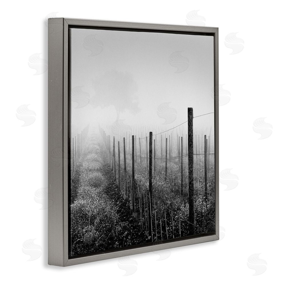 Chip Forelli Vineyard At Dawn Gray Floating Frame Canvas Wall Art Print