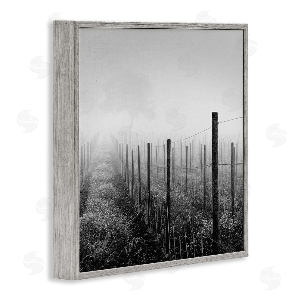 Chip Forelli Vineyard At Dawn Gray Framed Giclee Wall Art Print