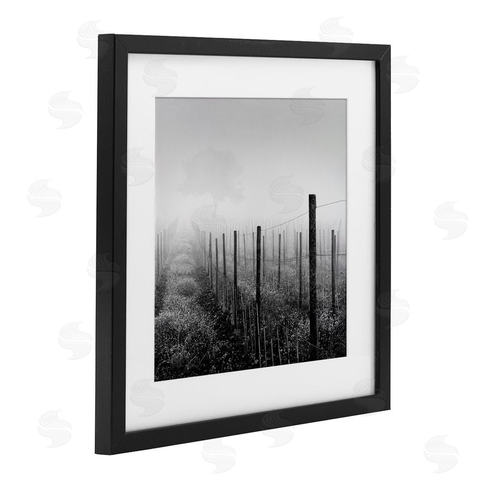 Chip Forelli Vineyard At Dawn Black Framed Print Under Glass with White Mat Wall Art