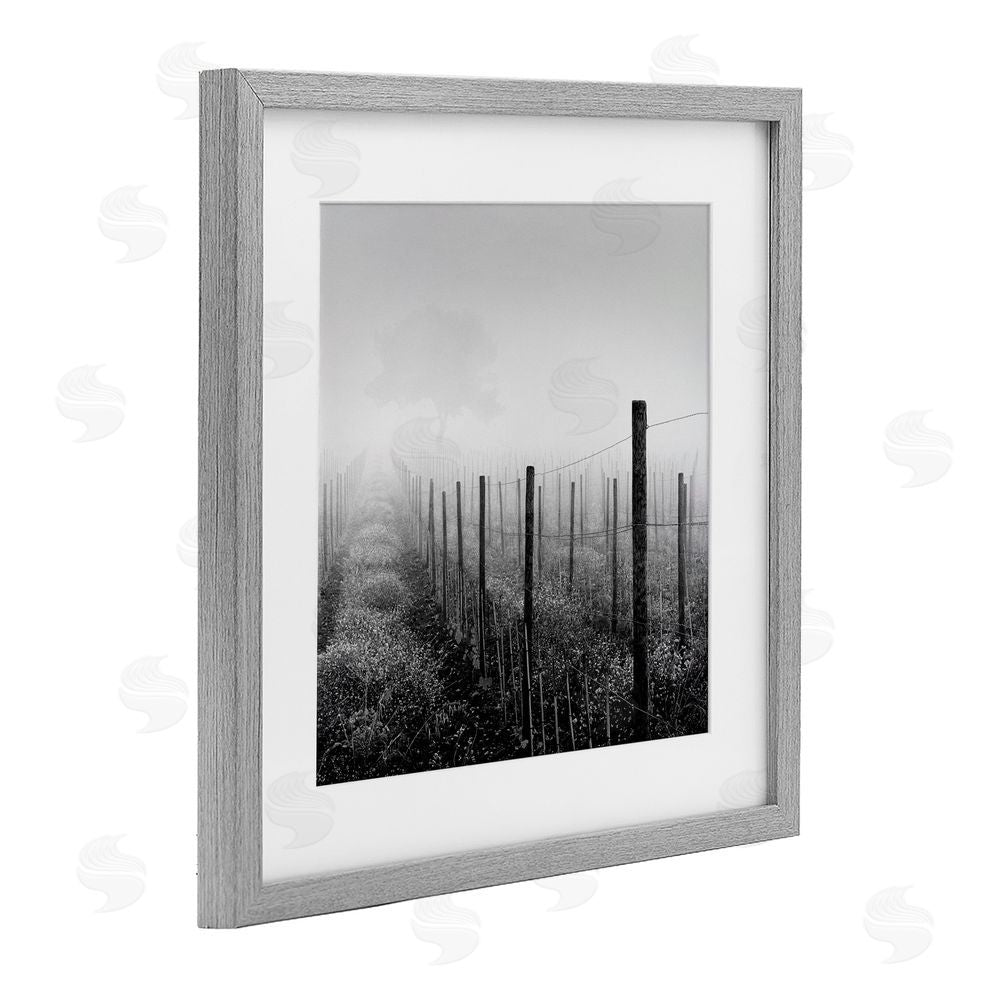 Chip Forelli Vineyard At Dawn Gray Framed Print Under Glass with White Mat Wall Art