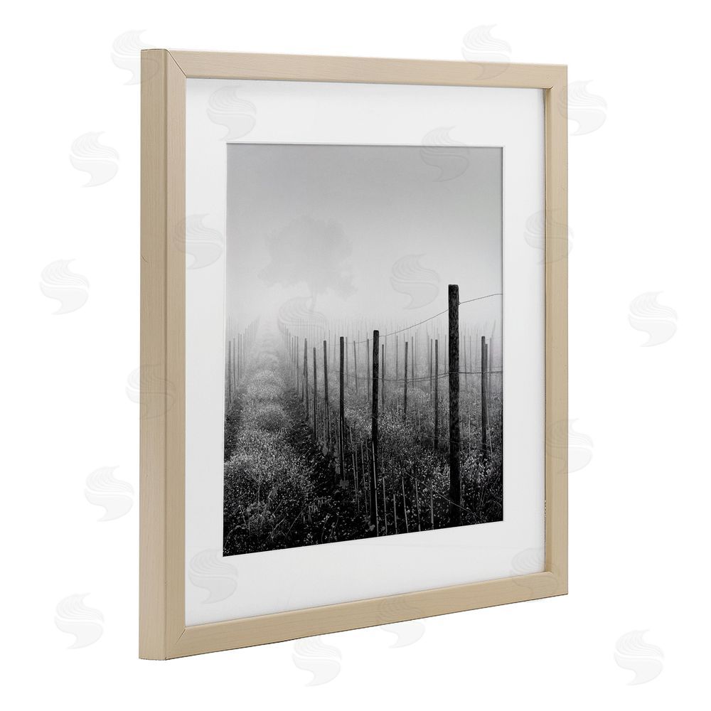 Chip Forelli Vineyard At Dawn Birch Framed Print Under Glass with White Mat Wall Art