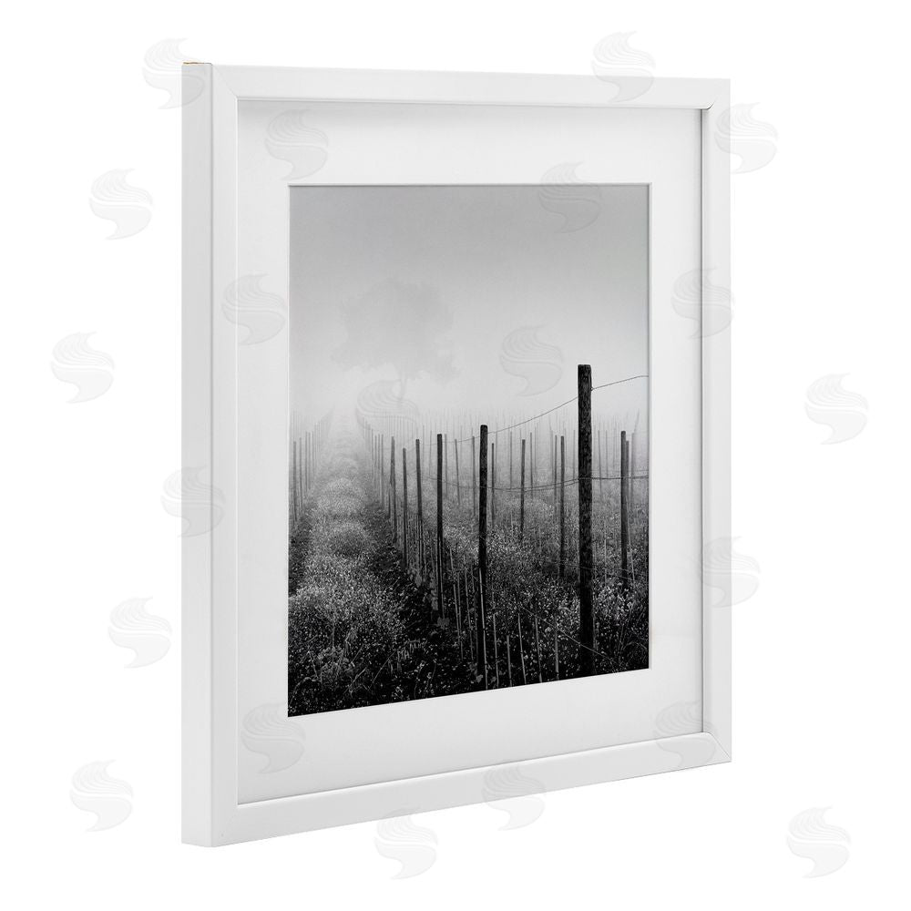 Chip Forelli Vineyard At Dawn White Framed Print Under Glass with Mat Wall Art