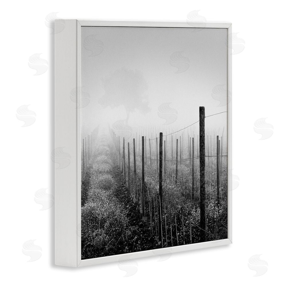 Chip Forelli Vineyard At Dawn White Framed Giclee Wall Art Print