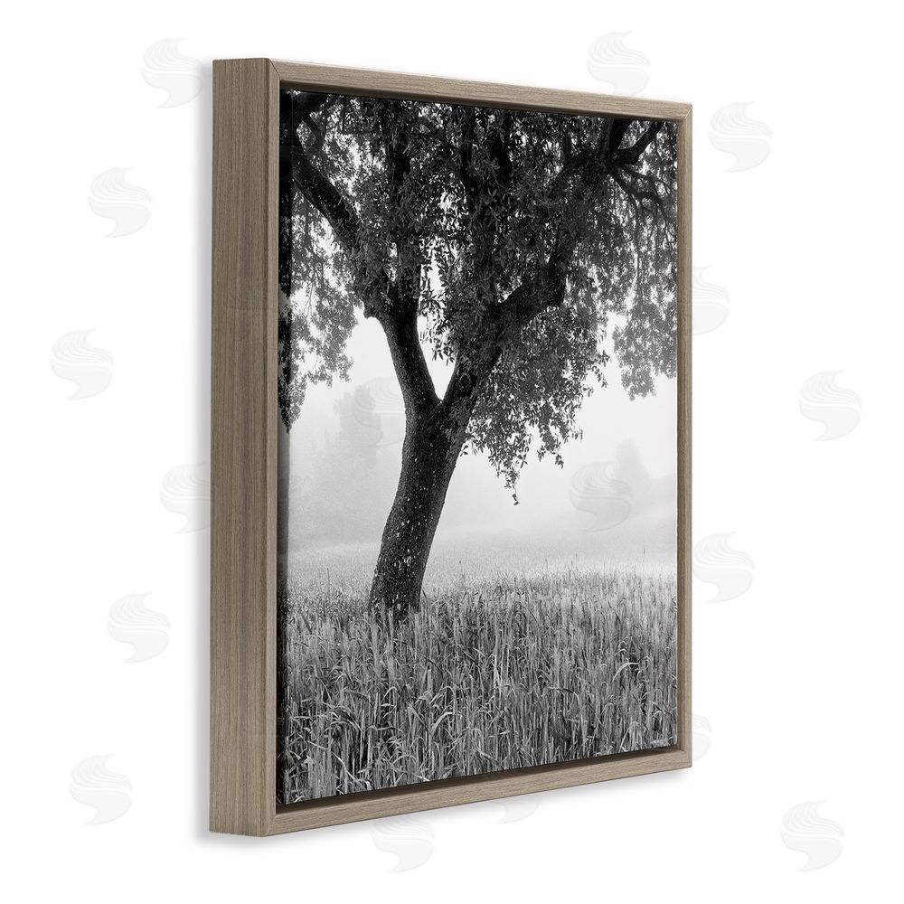 Chip Forelli Tuscan Morning Oak in Mist Brown Floating Framed Canvas Wall Art Print