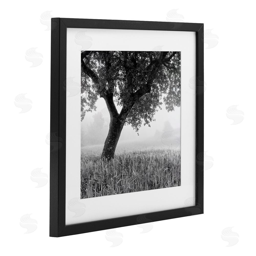 Chip Forelli Tuscan Morning Oak in Mist Black Framed Print Under Glass with White Mat Wall Art