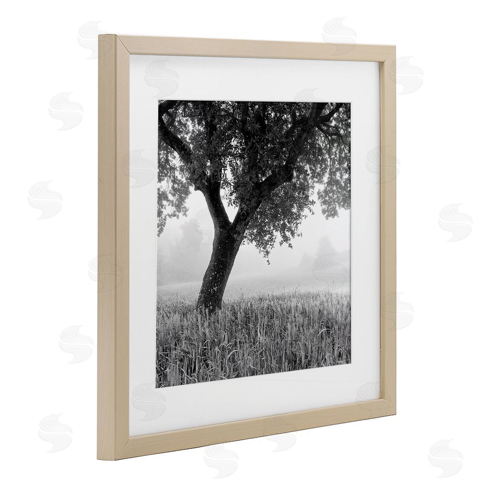 Chip Forelli Tuscan Morning Oak in Mist Brown Framed Print Under Glass with White Mat Wall Art