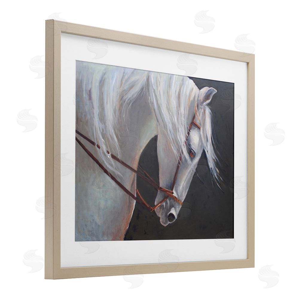 Jadei Graphics Majestic White Mare Brown Framed Print Under Glass Wall Art