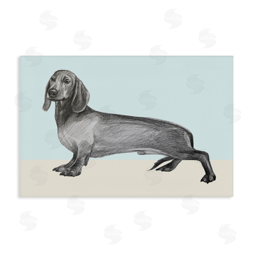 Violeta Vollmer Sketched Dachshund on Blue Stretched Canvas Wall Art Print