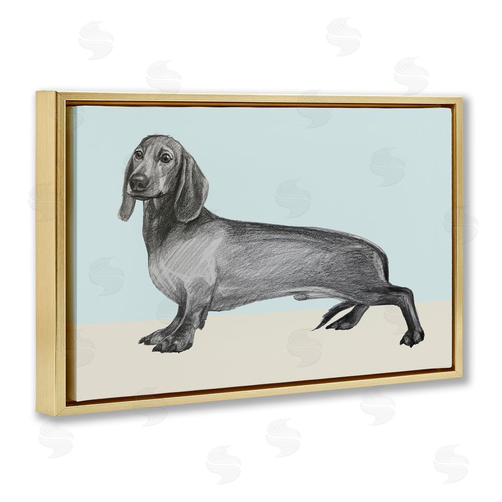 Violeta Vollmer Sketched Dachshund on Blue Gold Floating Frame Canvas Wall Art Print