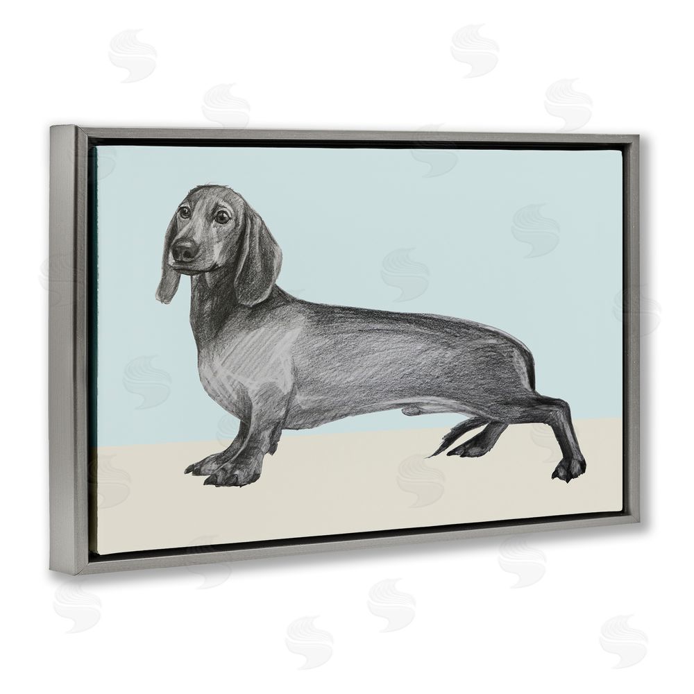 Violeta Vollmer Sketched Dachshund on Blue Gray Floating Frame Canvas Wall Art Print