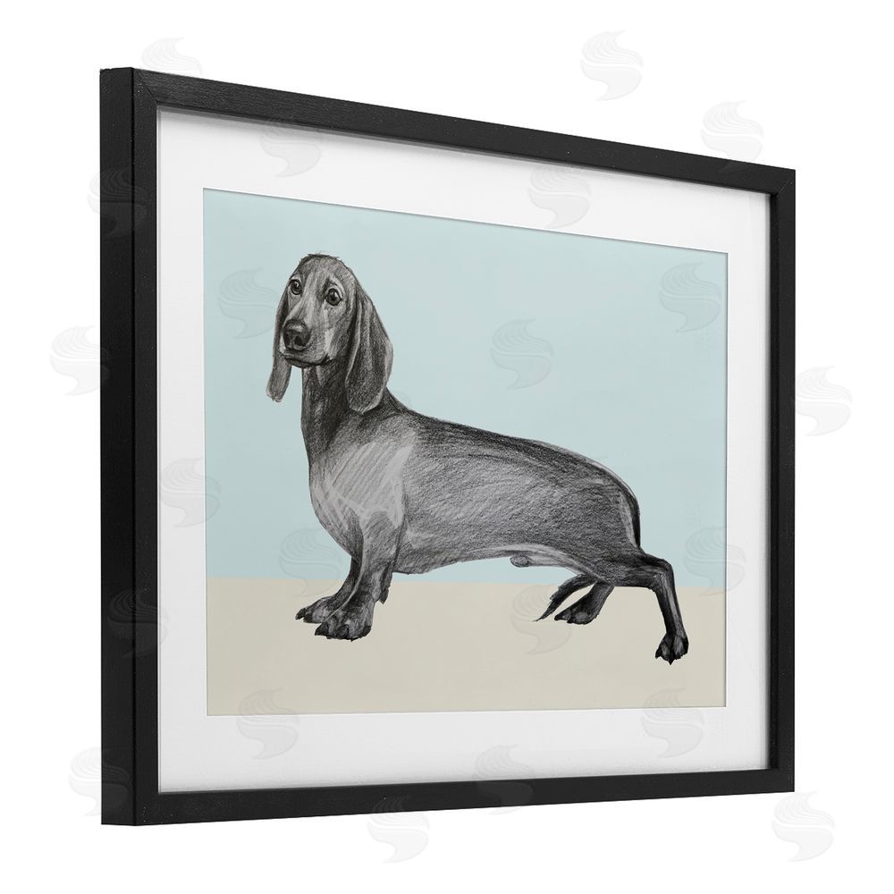 Violeta Vollmer Sketched Dachshund on Blue Black Framed Print Under Glass Wall Art