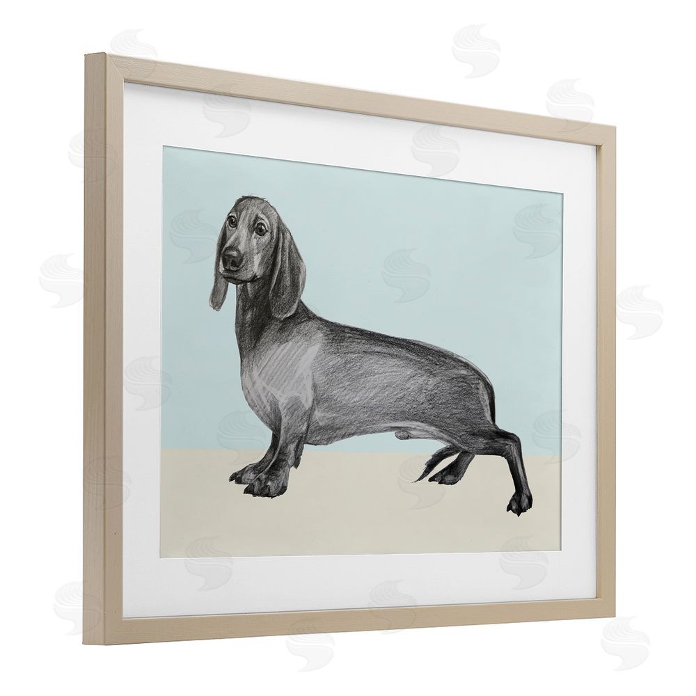 Violeta Vollmer Sketched Dachshund on Blue Brown Framed Print Under Glass Wall Art
