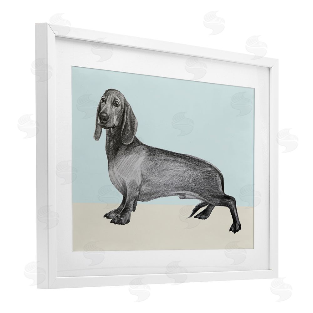 Violeta Vollmer Sketched Dachshund on Blue White Framed Print Under Glass Wall Art