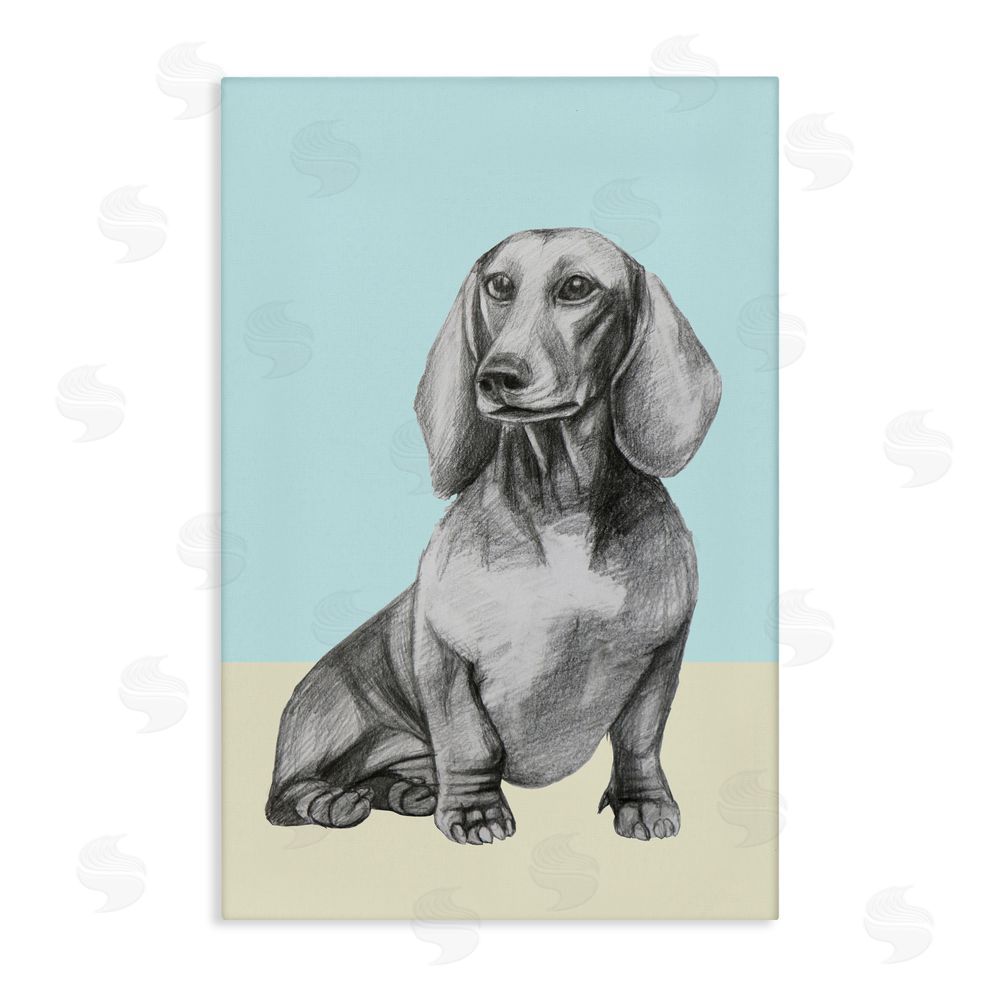Violeta Vollmer Sitting Dachshund Sketch Stretched Canvas Wall Art Print