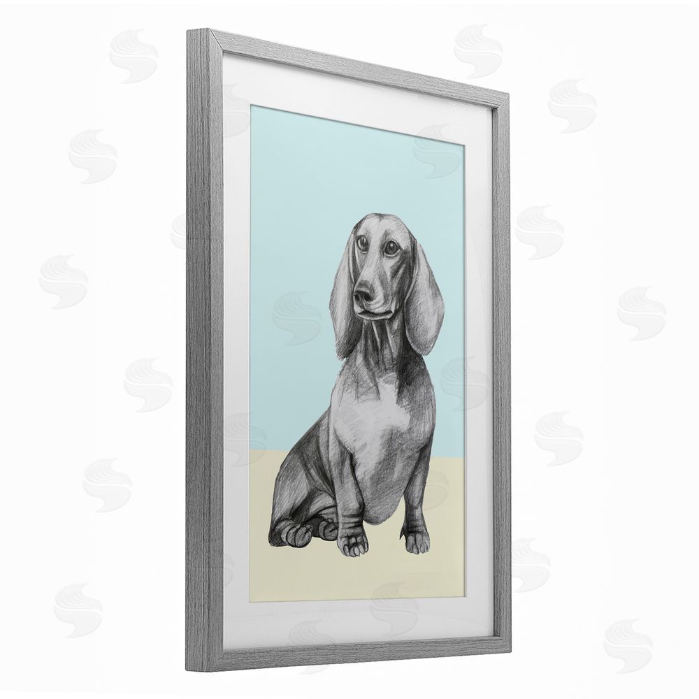 Violeta Vollmer Sitting Dachshund Sketch Gray Framed Print Under Glass Wall Art