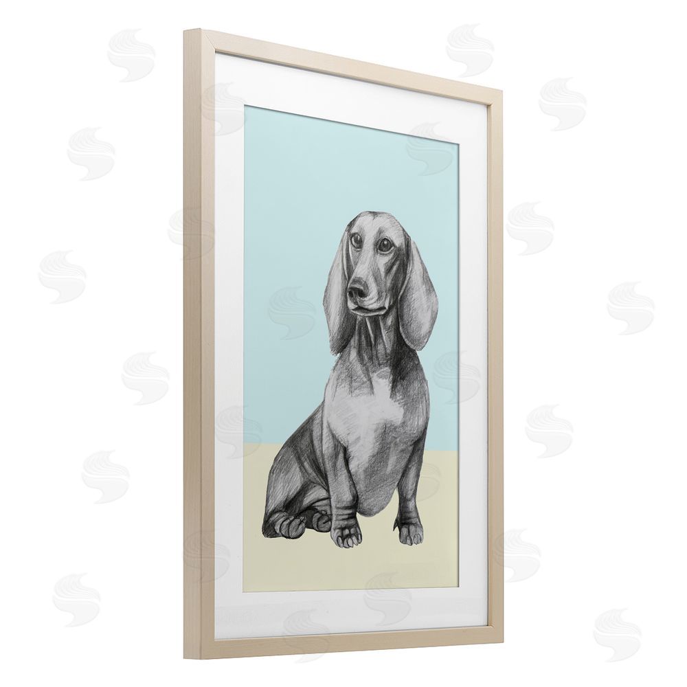 Violeta Vollmer Sitting Dachshund Sketch Brown Framed Print Under Glass Wall Art