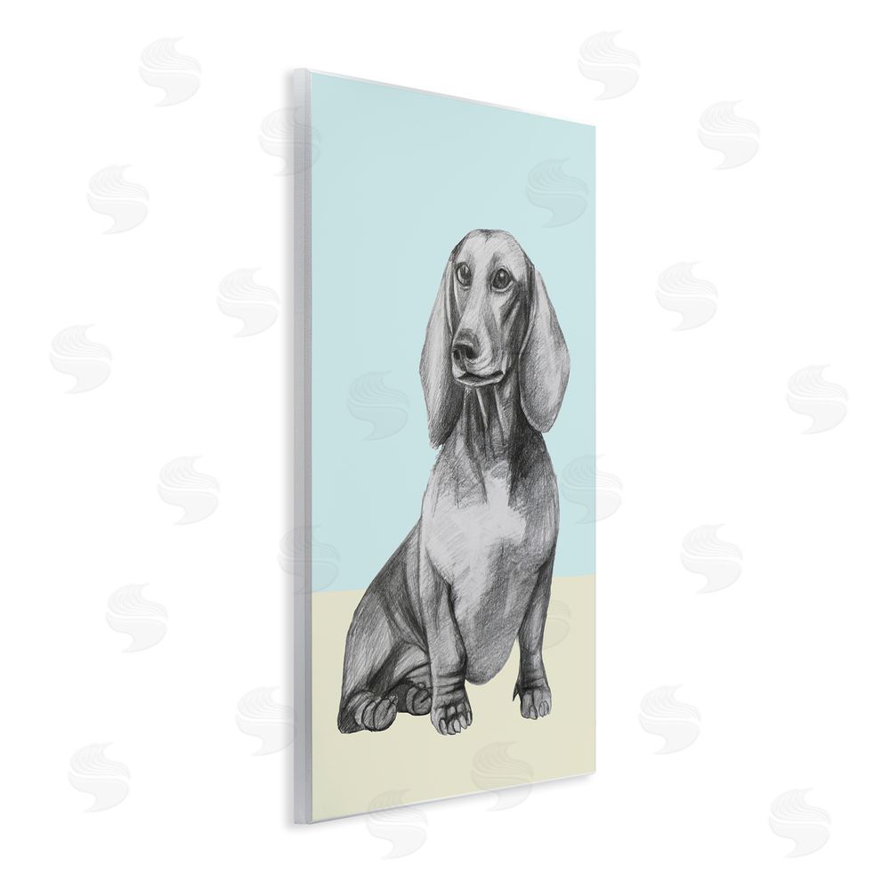 Violeta Vollmer Sitting Dachshund Sketch Wooden Wall Plaque Art Print