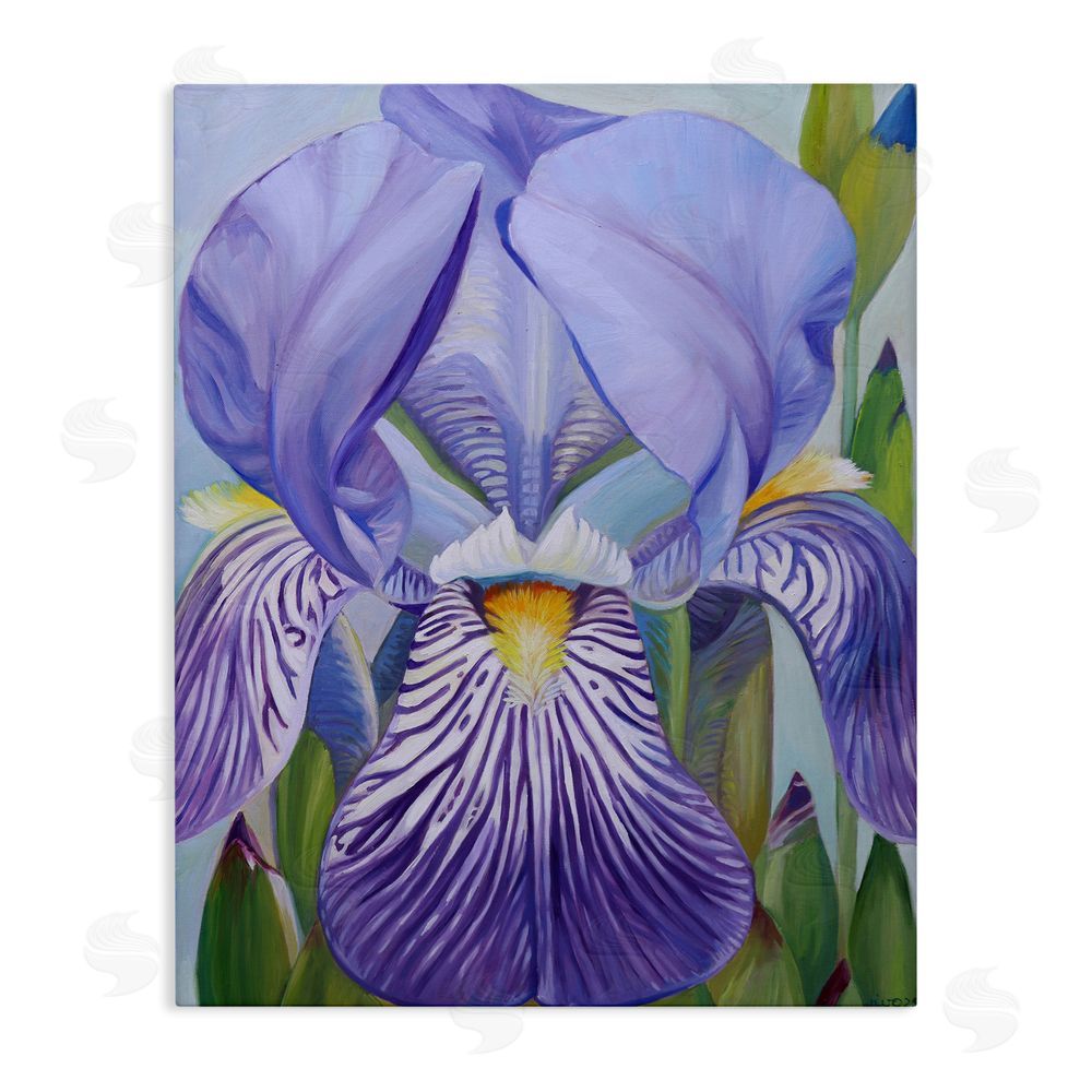 Violeta Vollmer Blooming Purple Iris Petals Stretched Canvas Wall Art Print
