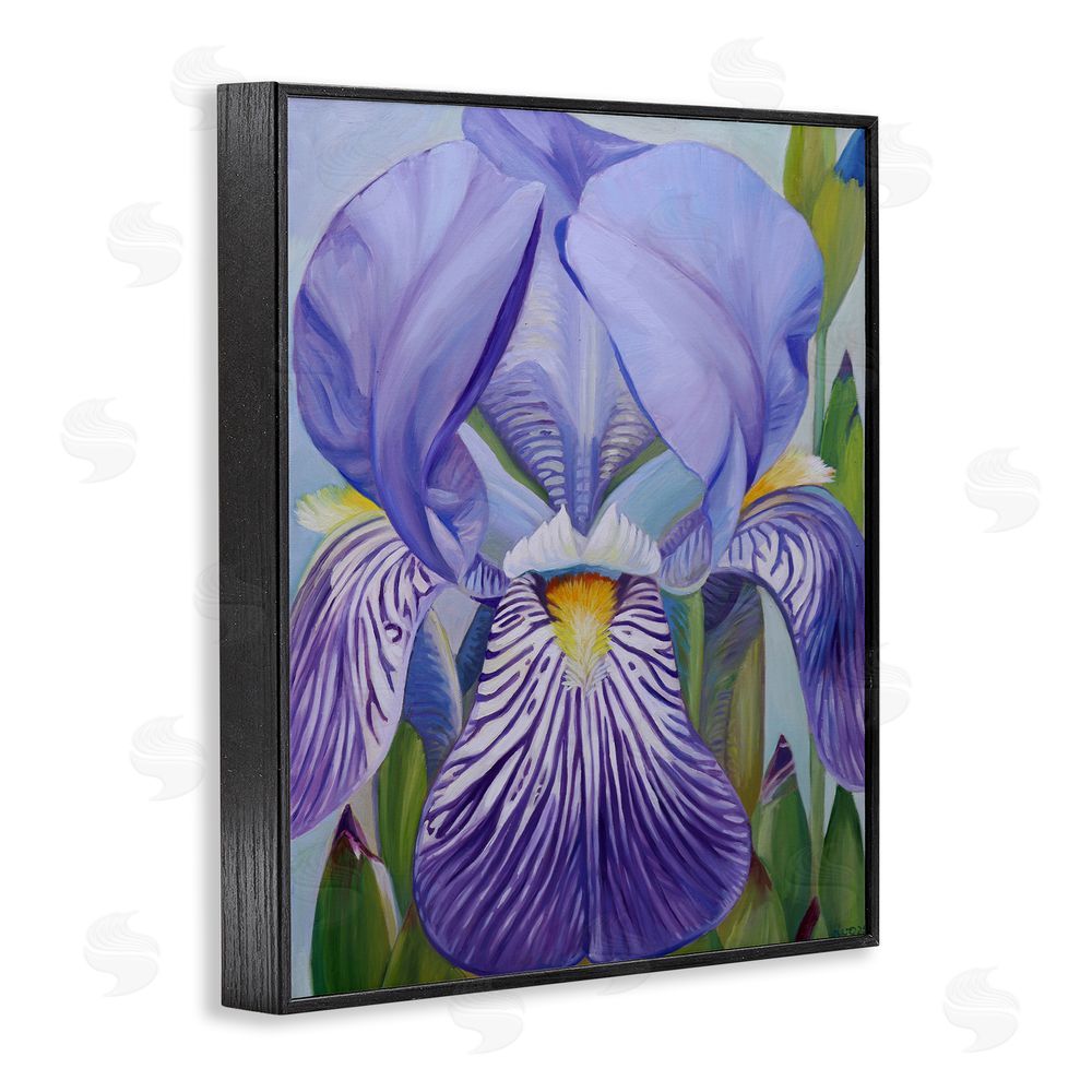 Violeta Vollmer Blooming Purple Iris Petals Black Framed Giclee Wall Art Print