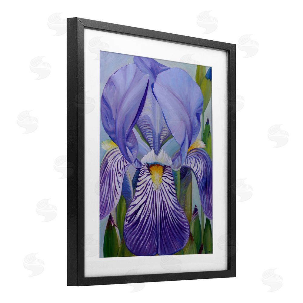 Violeta Vollmer Blooming Purple Iris Petals Black Framed Print Under Glass Wall Art