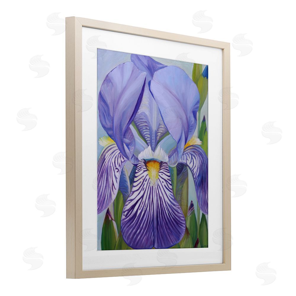Violeta Vollmer Blooming Purple Iris Petals Brown Framed Print Under Glass Wall Art