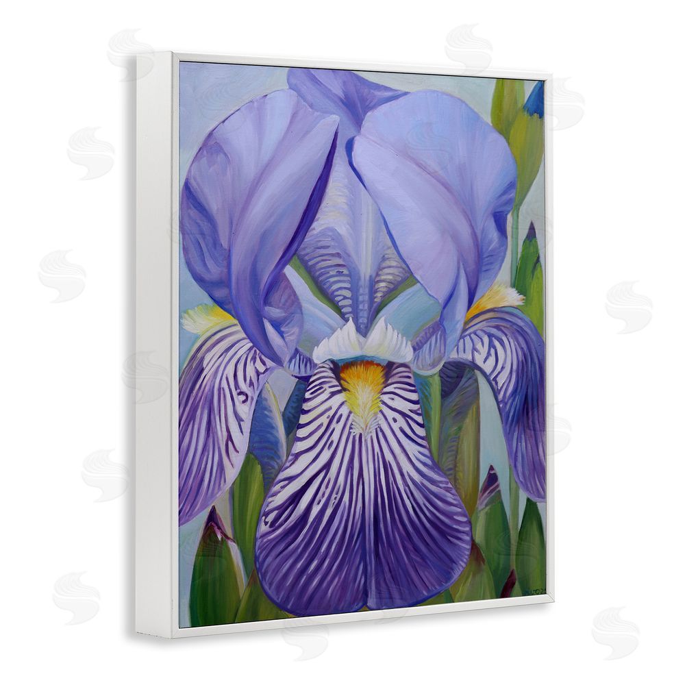 Violeta Vollmer Blooming Purple Iris Petals White Framed Giclee Wall Art Print