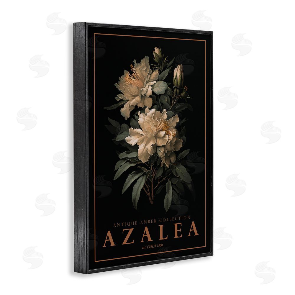 Chris Giampietro Antique Azalea Light Black Framed Giclee Wall Art Print