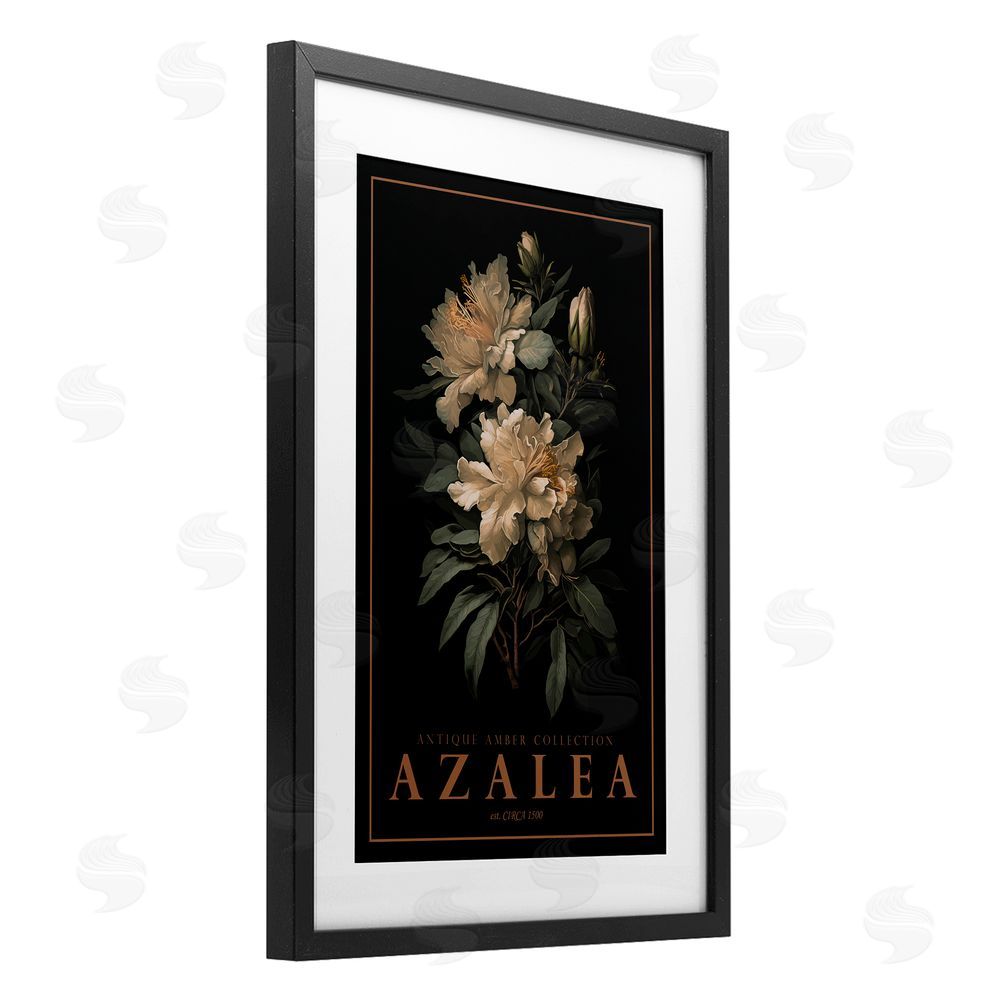 Chris Giampietro Antique Azalea Light Black Framed Print Under Glass Wall Art