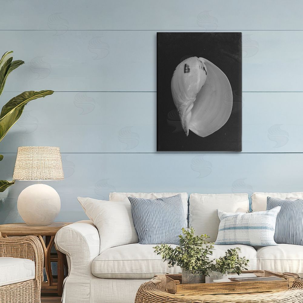 Amy Carroll Black And White Conch Shell