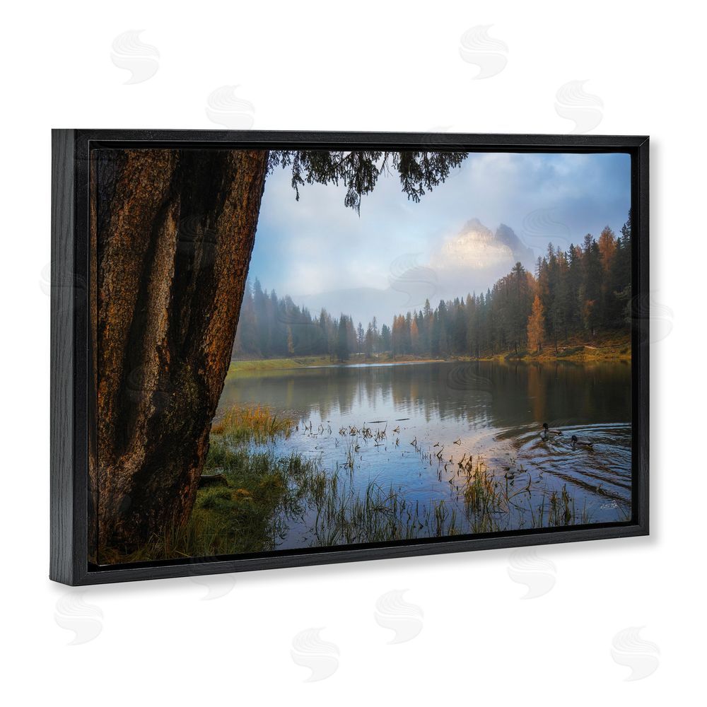 Martin Podt Autumn Forest Reflections Black Floating Frame Stretched Canvas Wall Art Print