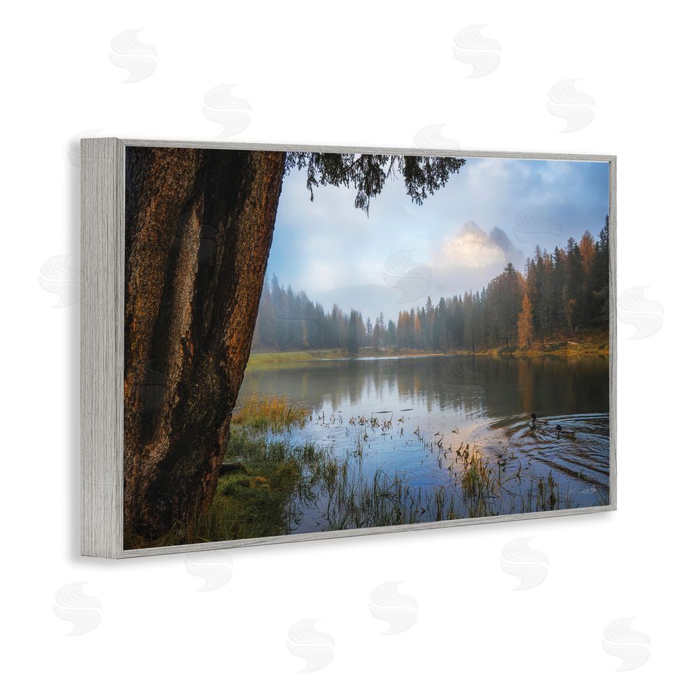Martin Podt Autumn Forest Reflections Gray Framed Giclee Wall Art Print