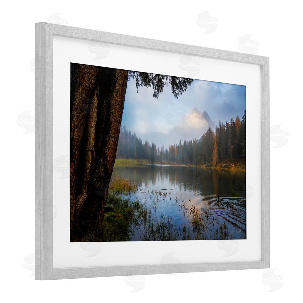 Martin Podt Autumn Forest Reflections Gray Framed Print Under Glass with Matting Wall Art